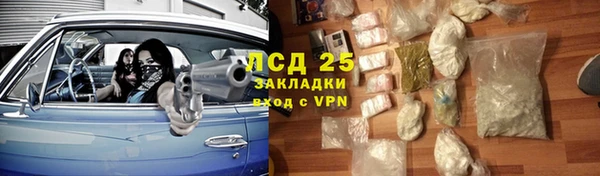 СК Зеленокумск