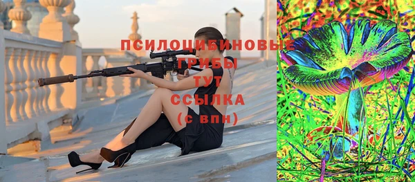 СК Зеленокумск