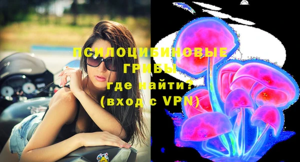 СК Зеленокумск