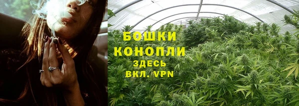 трава Зерноград